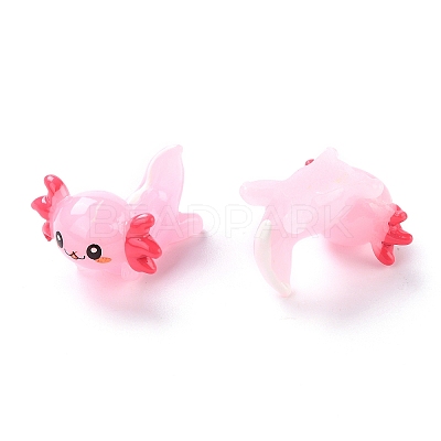 Resin Decoden Cabochons X-RESI-I043-05-1