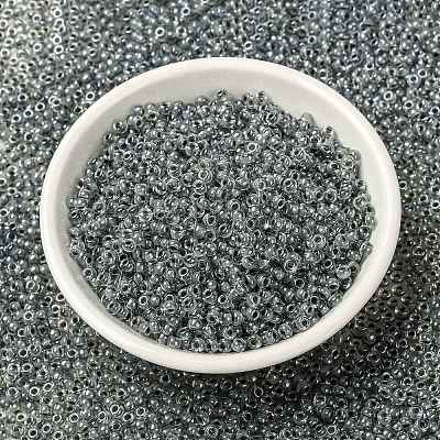 MIYUKI Round Rocailles Beads X-SEED-G008-RR0240-1