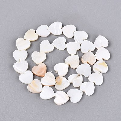 Natural Freshwater Shell Beads Strands SHEL-S276-87-1