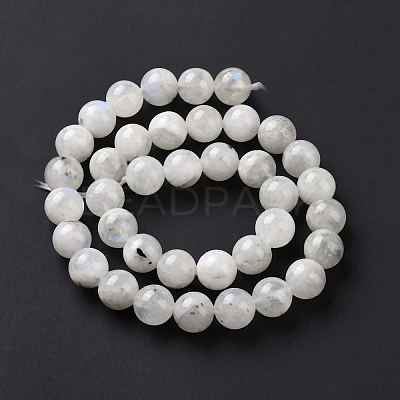 Natural Rainbow Moonstone Beads Strands G-I249-B04-03-1