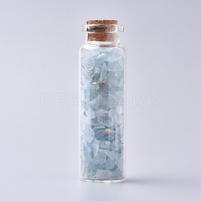 Glass Wishing Bottle DJEW-L013-A19-1