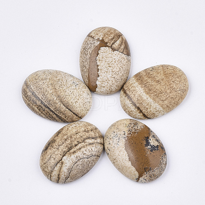 Natural Picture Jasper Cabochons G-S349-25A-01-1