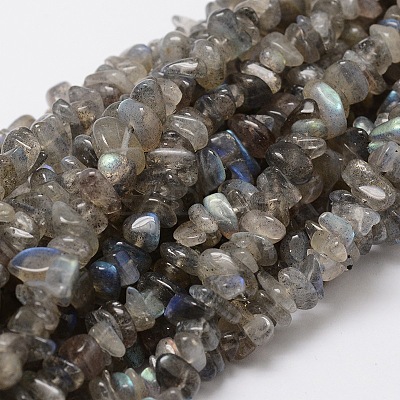 Natural Labradorite Chip Bead Strands L-G-M298-06-1