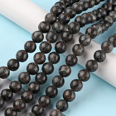 Natural Labradorite Beads Strands X-G-G0003-C03-6mm-1