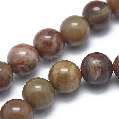 Natural Petrified Wood Beads Strands G-I254-07B-1