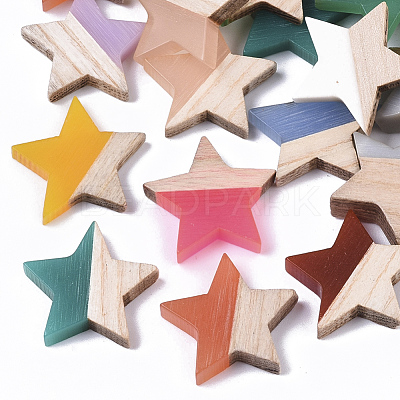 Resin & Wood Cabochons RESI-R425-02-1