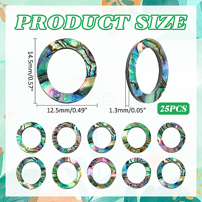 25Pcs Natural Abalone Shell/Paua Shell Cabochons SHEL-WR0001-01-1