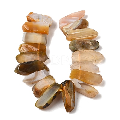 Natural Botswana Agate Beads Strands G-S386-D02-1