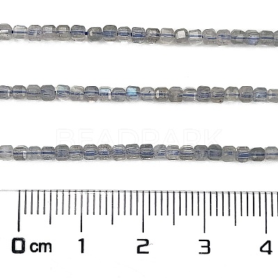 Natural Labradorite Beads Strands G-L597-A01-01-1