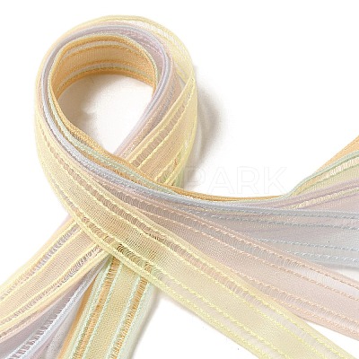 Polyester and Nylon Ribbon Sets DIY-Z029-01I-1