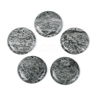 Natural Map Stone Pendants G-N361-04D-1