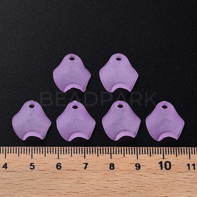 Transparent Acrylic Beads MACR-S373-106-D03-1