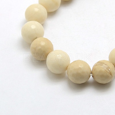 Natural Gemstone Petrified Wood Round Beads Strands G-O021-4mm-12-1