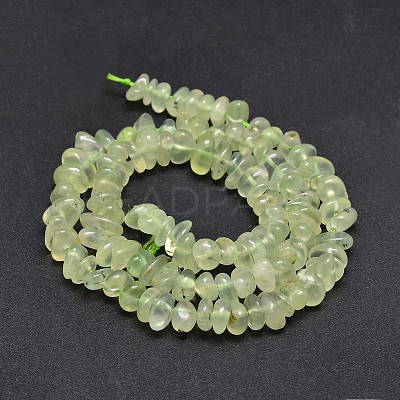 Natural Prehnite Chip Beads Strands X-G-E271-99-1