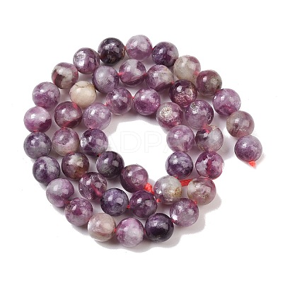 Natural Lepidolite/Purple Mica Stone Beads Strands G-G160-A01-01A-1