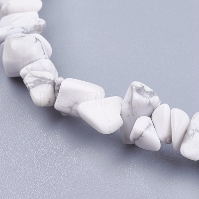 Natural Howlite Stone Bead Strands G-R192-15-1