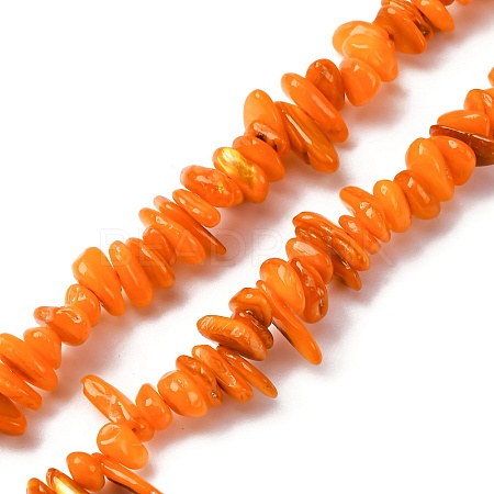 Natural Freshwater Shell Beads Strands BSHE-I016-01C-1