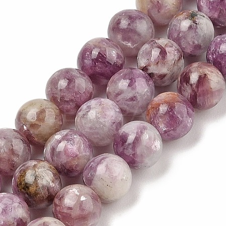 Natural Lepidolite/Purple Mica Stone Beads Strands G-G160-A01-01-1