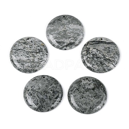 Natural Map Stone Pendants G-N361-04D-1