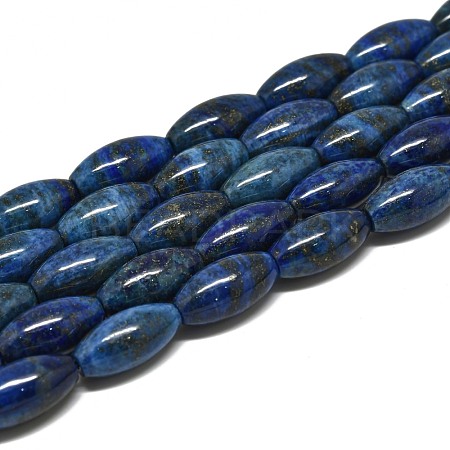 Natural Lapis Lazuli Beads Strands G-K311-11C-04-1