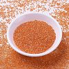 MIYUKI Delica Beads SEED-MY11-DB1887-2