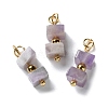 Natural Amethyst Cuboid Beaded Pendants STAS-C120-02G-02-1