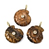 Natural Tiger Eye Carved Pendants G-C282-01O-1