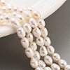 Natural Cultured Freshwater Pearl Beads Strands PEAR-P062-16B-X-1