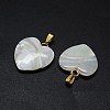 Shell Pendants SSHEL-E564-21A-G-2