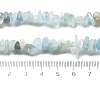 Natural Aquamarine Chip Beads Strands G-L154-19-5