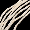 Synthetic Turquoise Beads Strands TURQ-G106-4mm-02Q-2