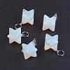 Opalite Pendants G-E398-02M-2