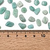 Natural Amazonite Chip Beads G-M364-04B-5