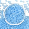 Transparent Colours Glass Seed Beads X1-SEED-P008-01B-02-3