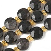 Natural Silver Sheen Obsidian Beads Strands G-G271-C08-10mm-2