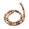 Natural Venus Jasper Beads Strands G-P075-57-6mm-2