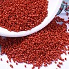 MIYUKI Delica Beads SEED-JP0008-DB0795-1