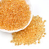 3/0 Baking Paint Glass Fringe Seed Beads SEED-A034-04B-3