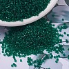 MIYUKI Delica Beads X-SEED-J020-DB0776-1