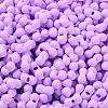 Rubberized Style Glass Seed Beads SEED-Z003-01F-3