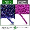 FGB 8/0 Grade A Round Glass Seed Beads SEED-Q010-3mm-F545-4