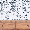 MIYUKI Delica Beads X-SEED-J020-DB0459-4