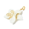 Natural Carved Freshwater Shell Pendants PALLOY-JF03391-3