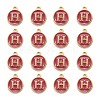 Golden Plated Alloy Enamel Charms ENAM-S118-08H-2