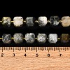 Natural Eagle Eye Stone Beads Strands G-K389-A02-01-6