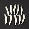 Natural Trochid Shell/Trochus Shell Pendants SSHEL-M021-11-1