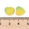 Imitation Candy Food Style Resin Cabochons RESI-R461-01C-3