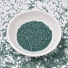 MIYUKI Delica Beads SEED-MY11-DB1768-2
