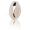 100Pcs Natural Cowrie Shell Beads BSHE-LT0001-08-6
