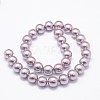 Shell Pearl Beads Strands BSHE-E008-8mm-01-2